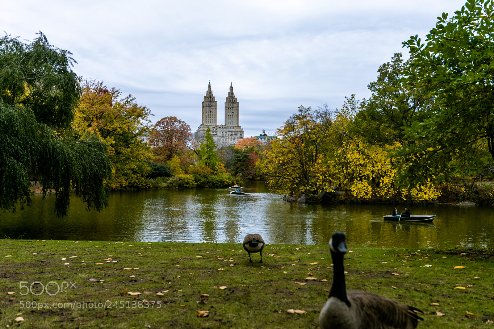 Nikon D3400 sample photo. Central park photography