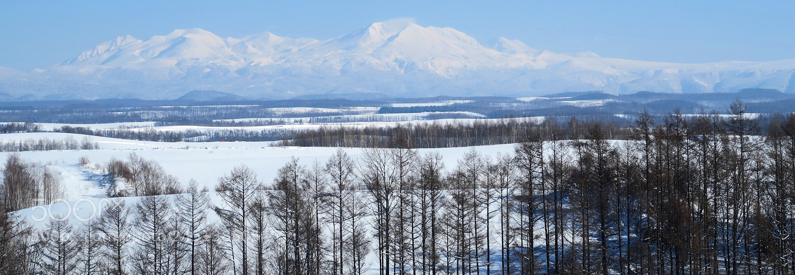 Canon PowerShot G7 X sample photo. Hokkaido x winter photography