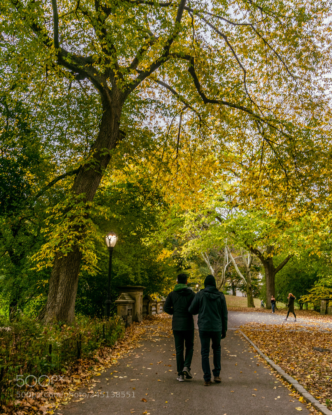 Nikon D3400 sample photo. Central park photography