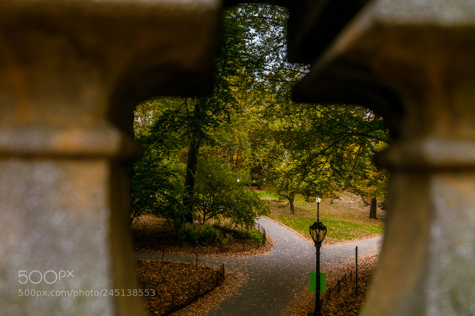 Nikon D3400 sample photo. Central park photography