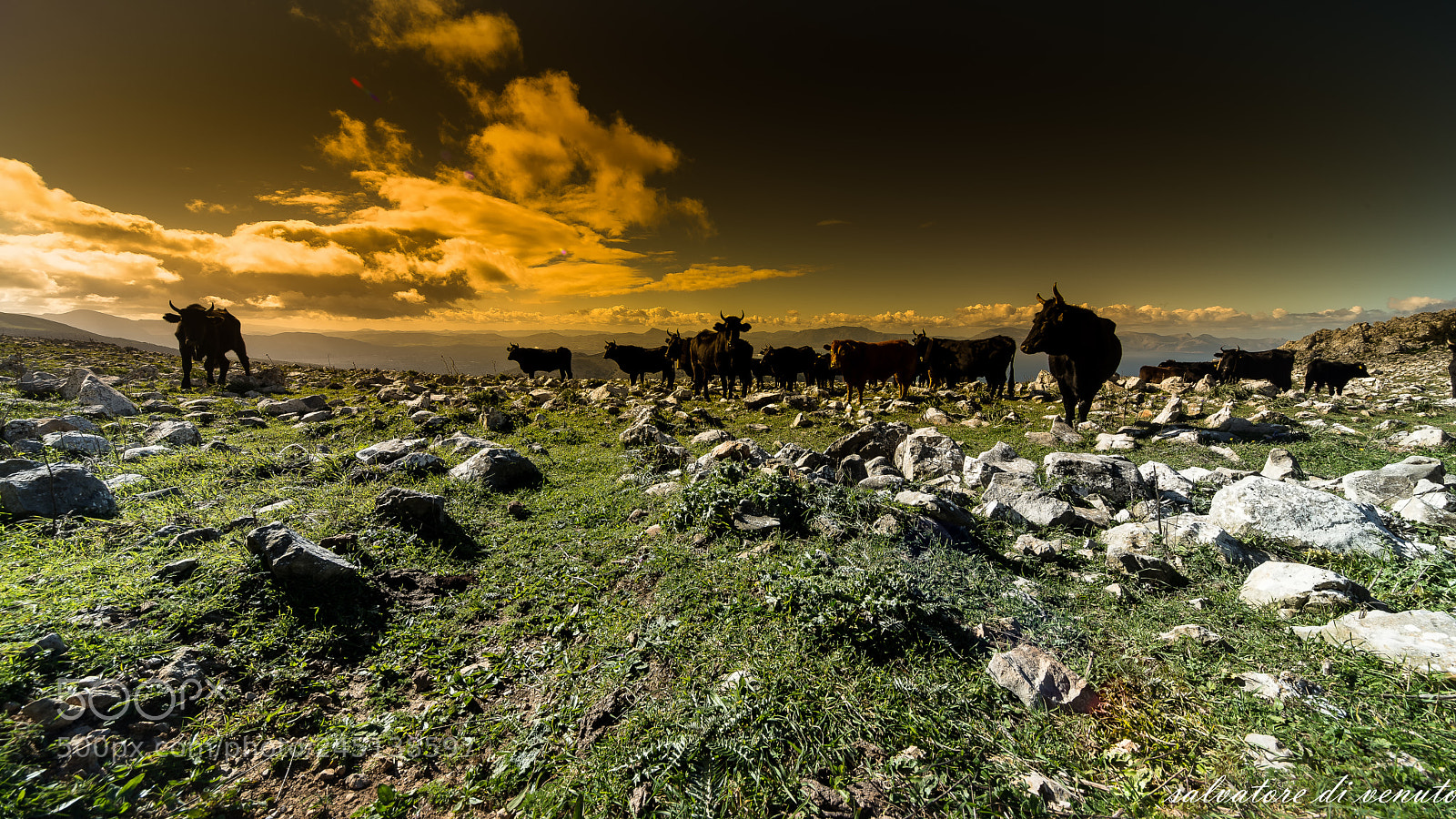 Nikon D610 sample photo. Sicilia photography