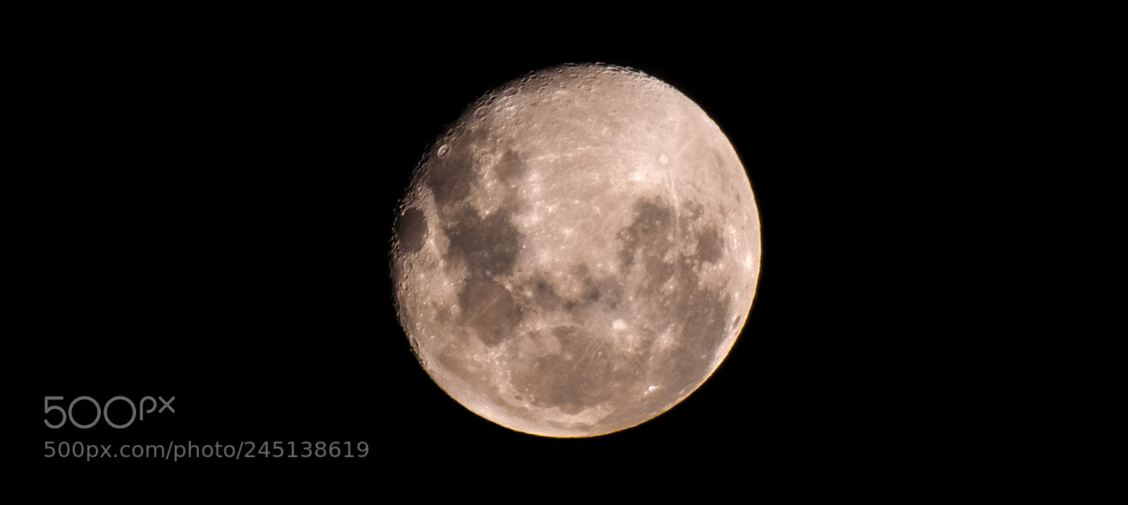 Nikon D7500 sample photo. On the day after photography