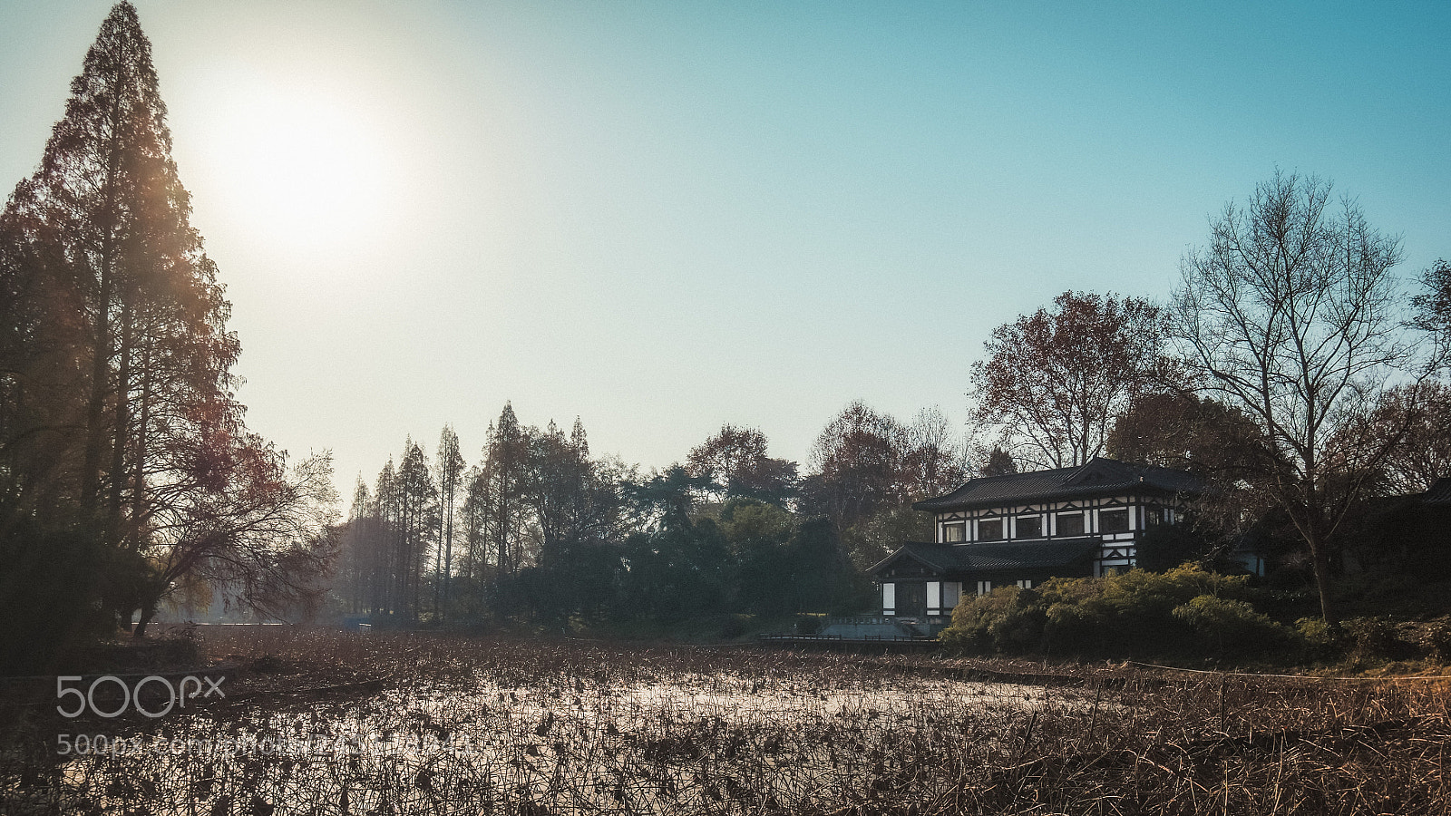 Panasonic Lumix DMC-GX85 (Lumix DMC-GX80 / Lumix DMC-GX7 Mark II) sample photo. Untitled photography