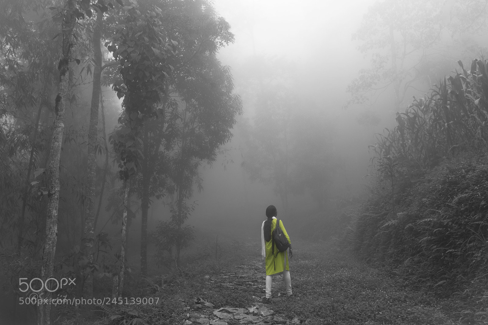 Nikon D5200 sample photo. Mist photography