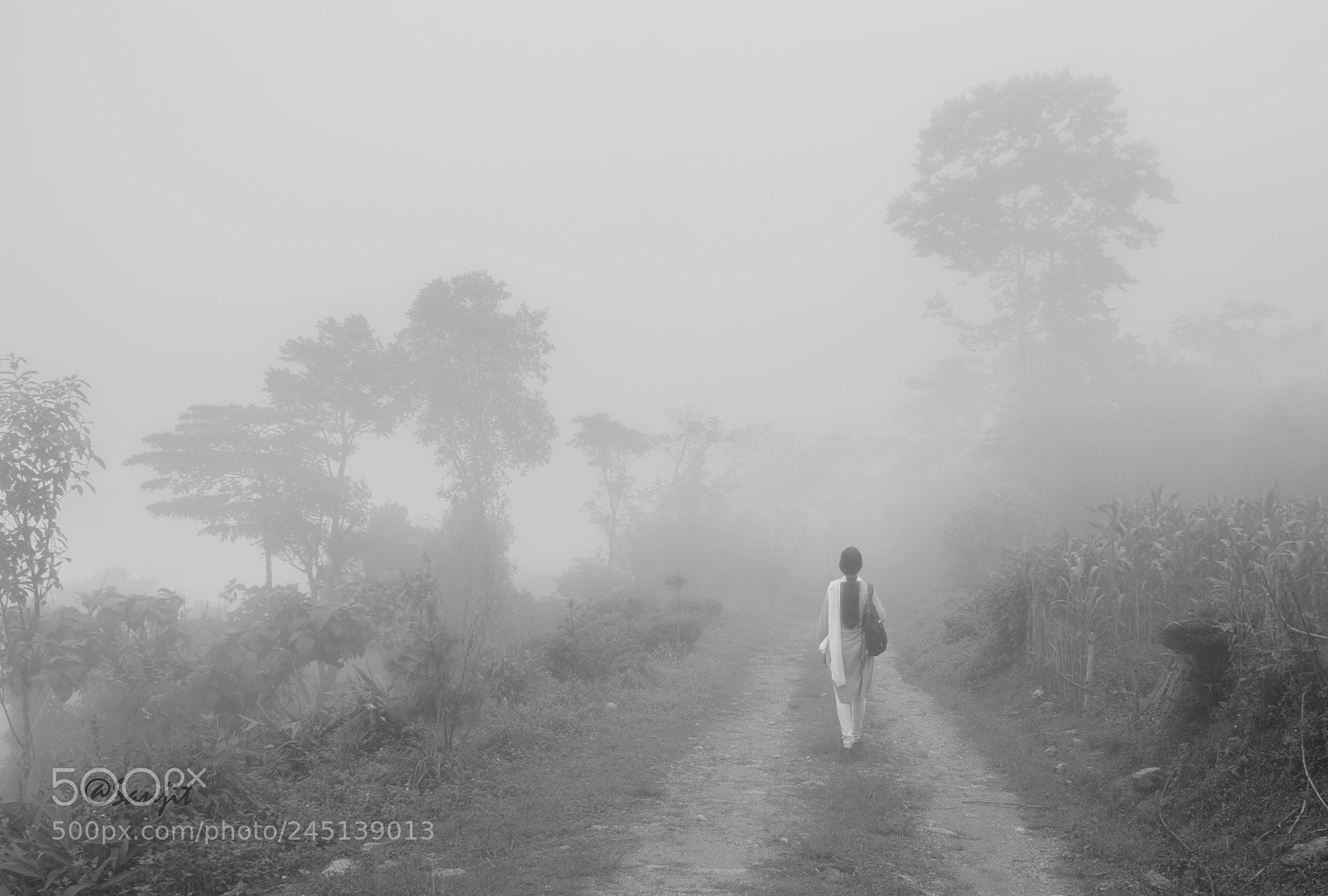 Nikon D5200 sample photo. Mist 1 photography