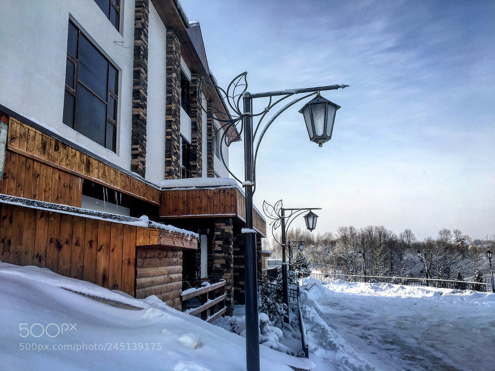 Apple iPhone 6s sample photo. Winter mood photography