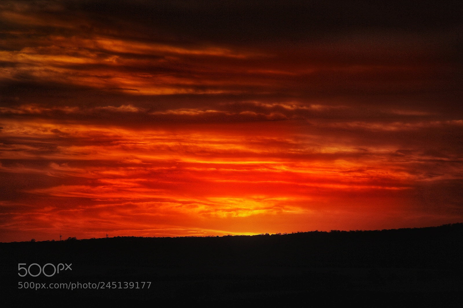 Canon EOS 60D sample photo. Upon sunset into a photography