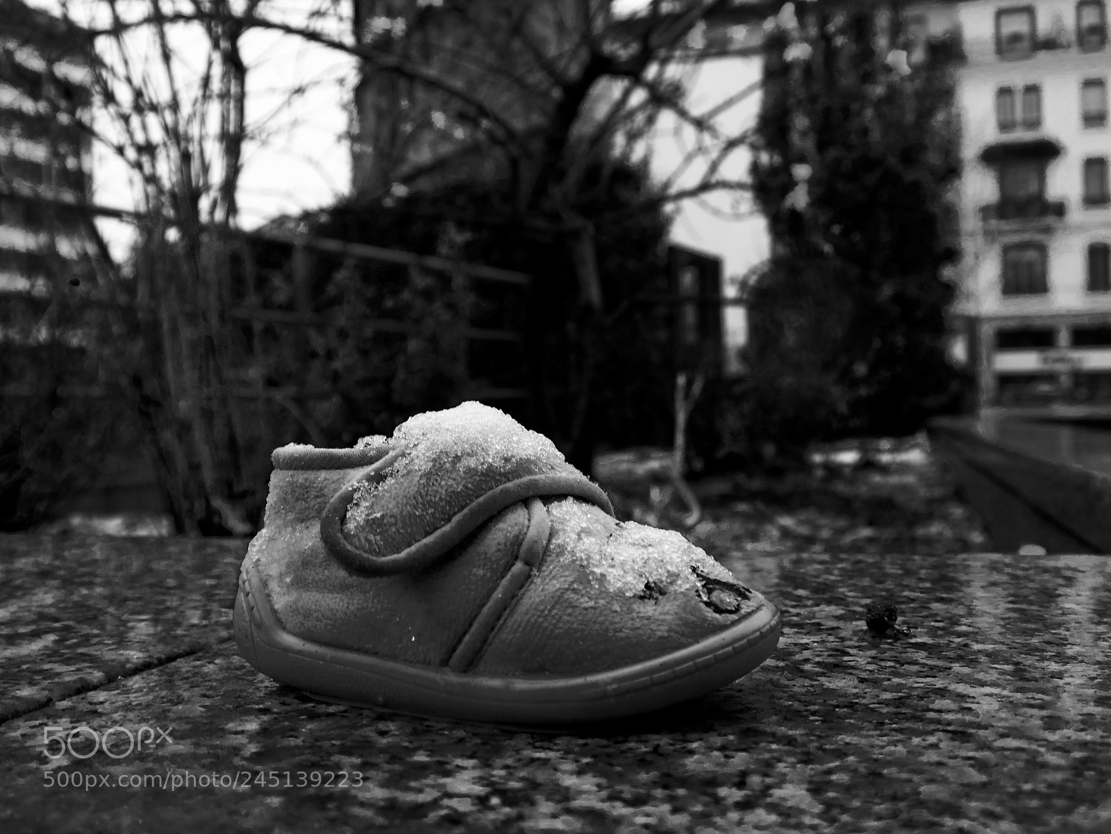 Panasonic Lumix DC-GH5 sample photo. Lost shoes photography