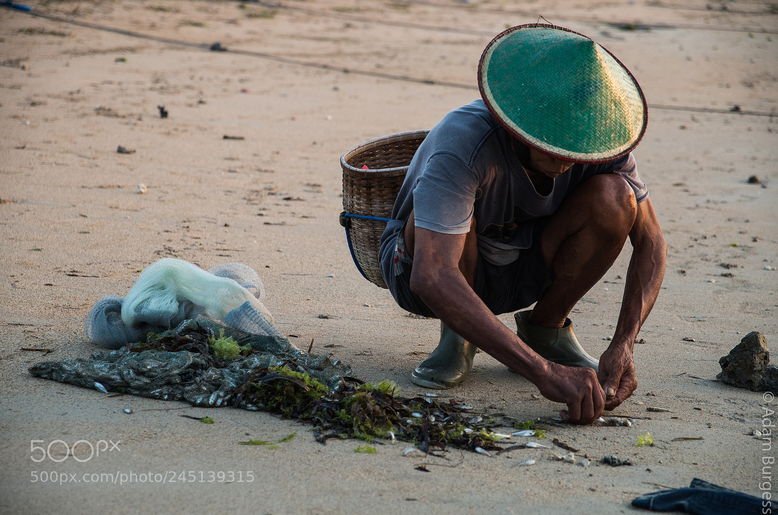 Pentax K-30 sample photo. Catch of the day photography