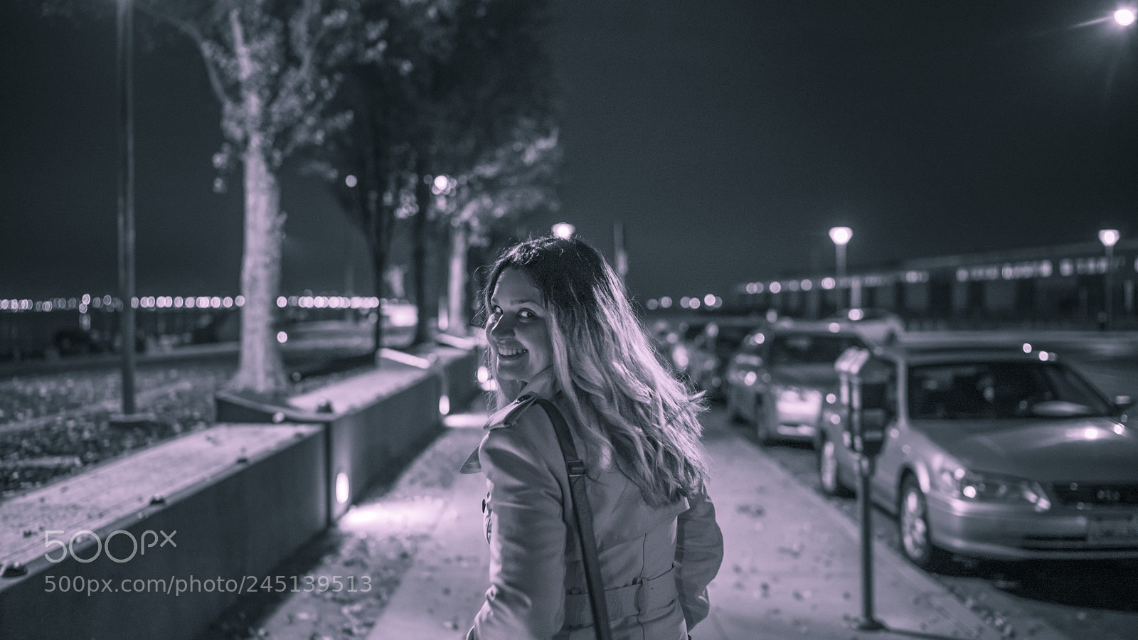 Sony a7R II sample photo. Untitled photography