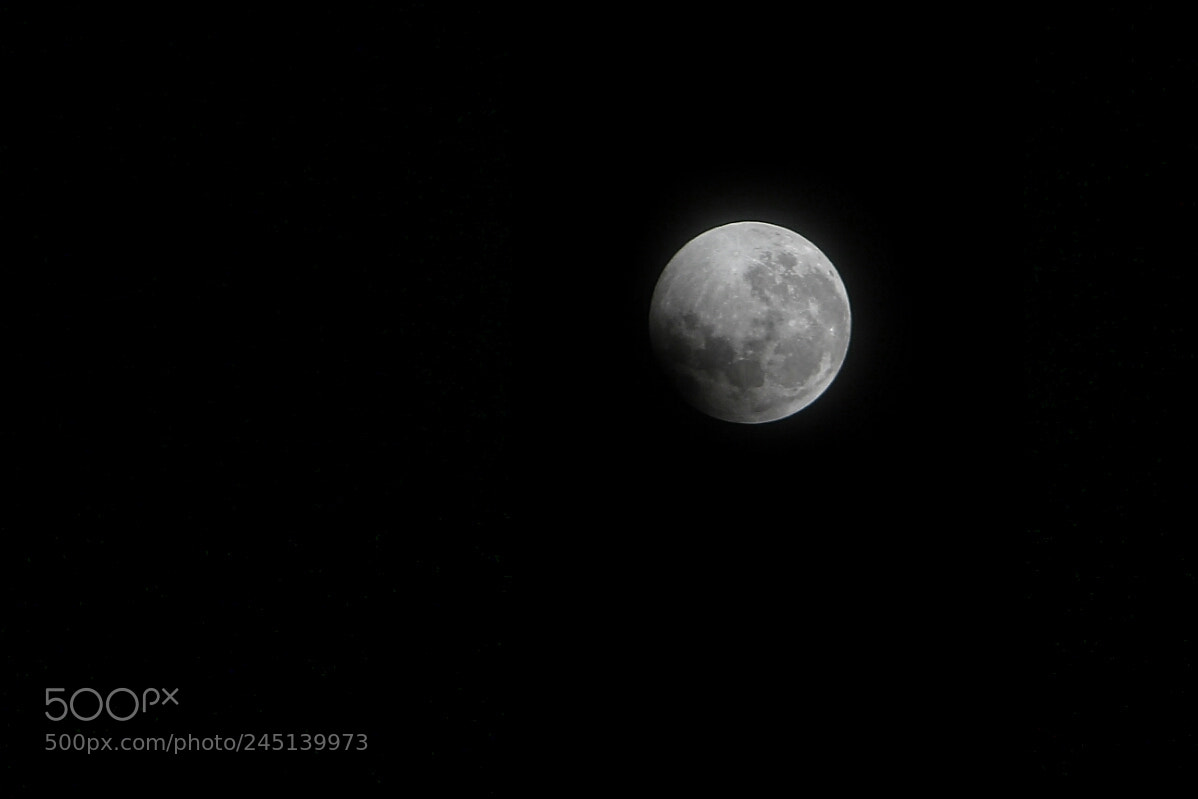 Canon EOS 60D sample photo. Nearing the end of photography