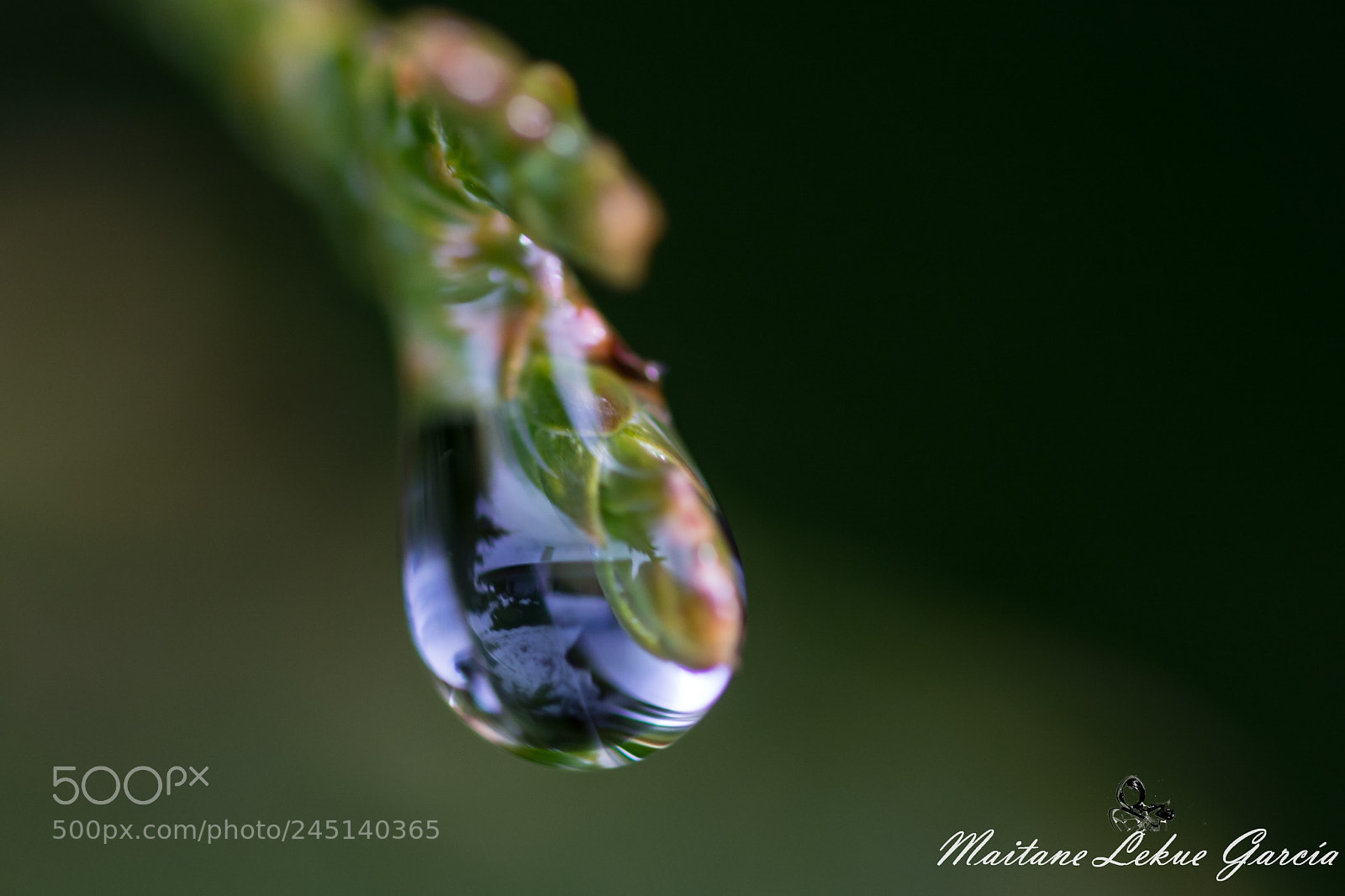 Nikon D7100 sample photo. Gota reflejo photography