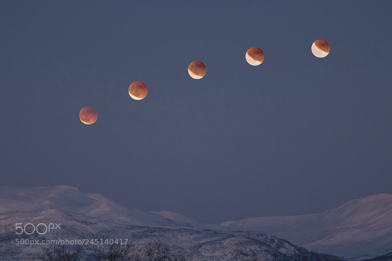 Canon EOS 760D (EOS Rebel T6s / EOS 8000D) sample photo. Blue blood supermoon collage photography