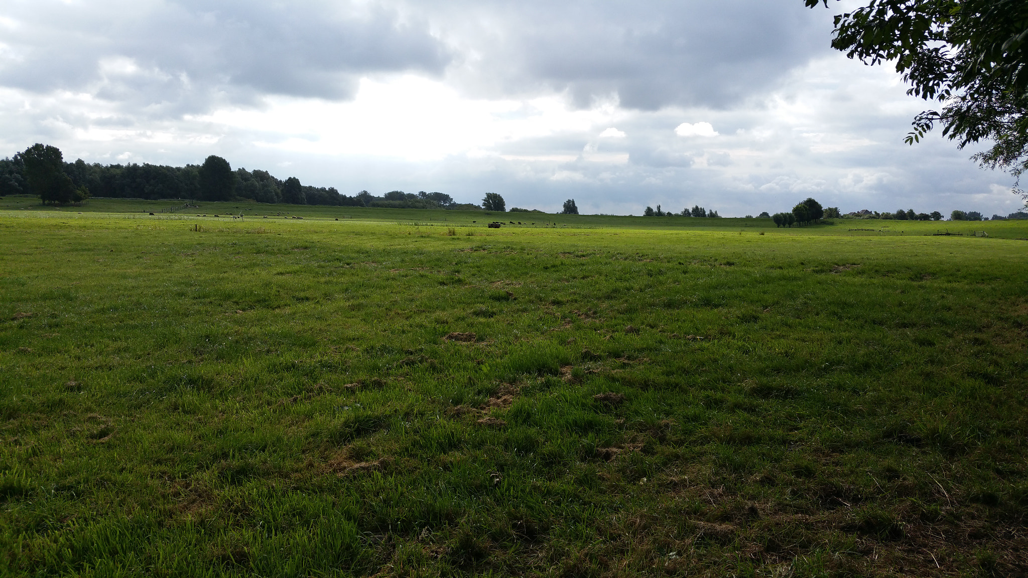 Samsung Galaxy S5 LTE-A sample photo. Lowlands photography