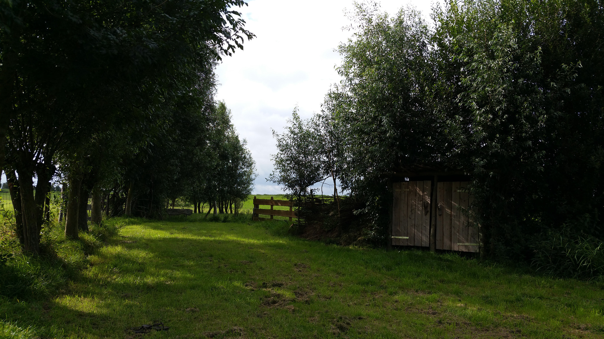 Samsung Galaxy S5 LTE-A sample photo. Green photography