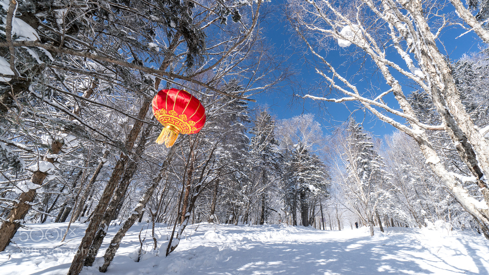 Sony a6300 sample photo. Lantern and snow photography