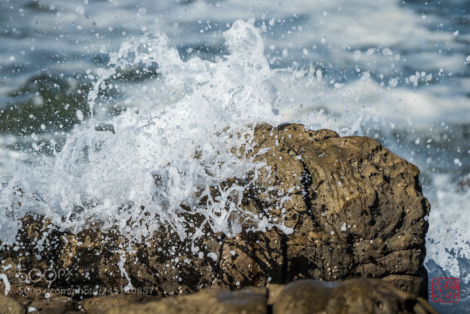 Sony a7S sample photo. Splash photography