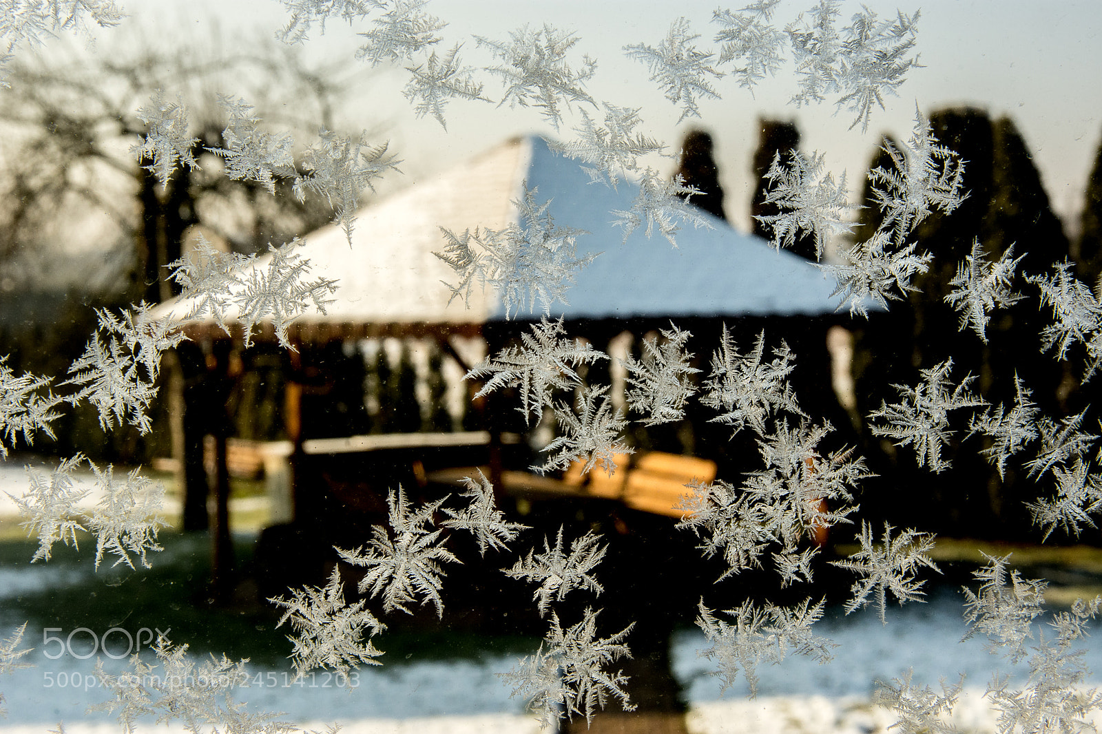 Nikon D7200 sample photo. Morning at home photography