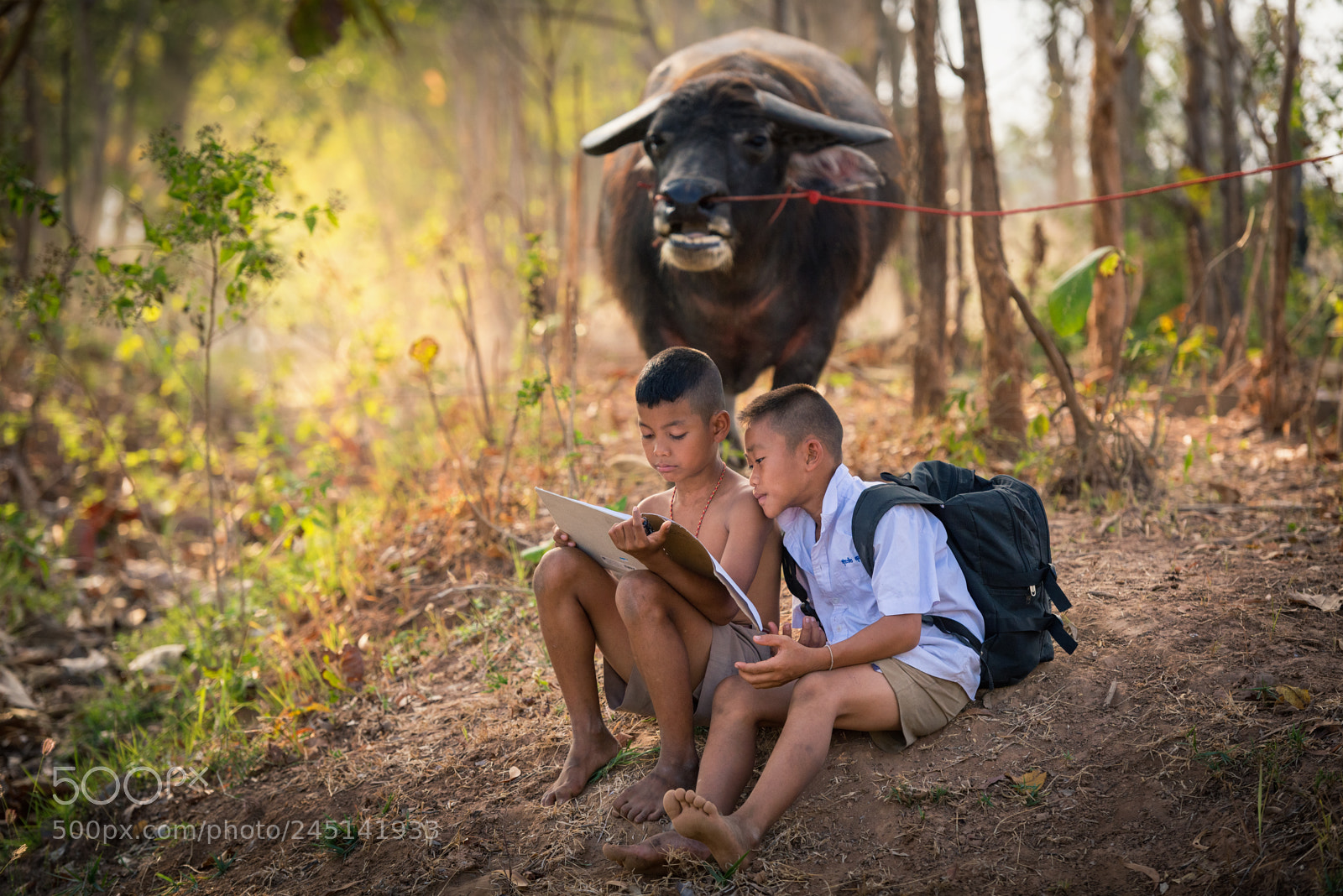 Nikon D810 sample photo. Kids photography