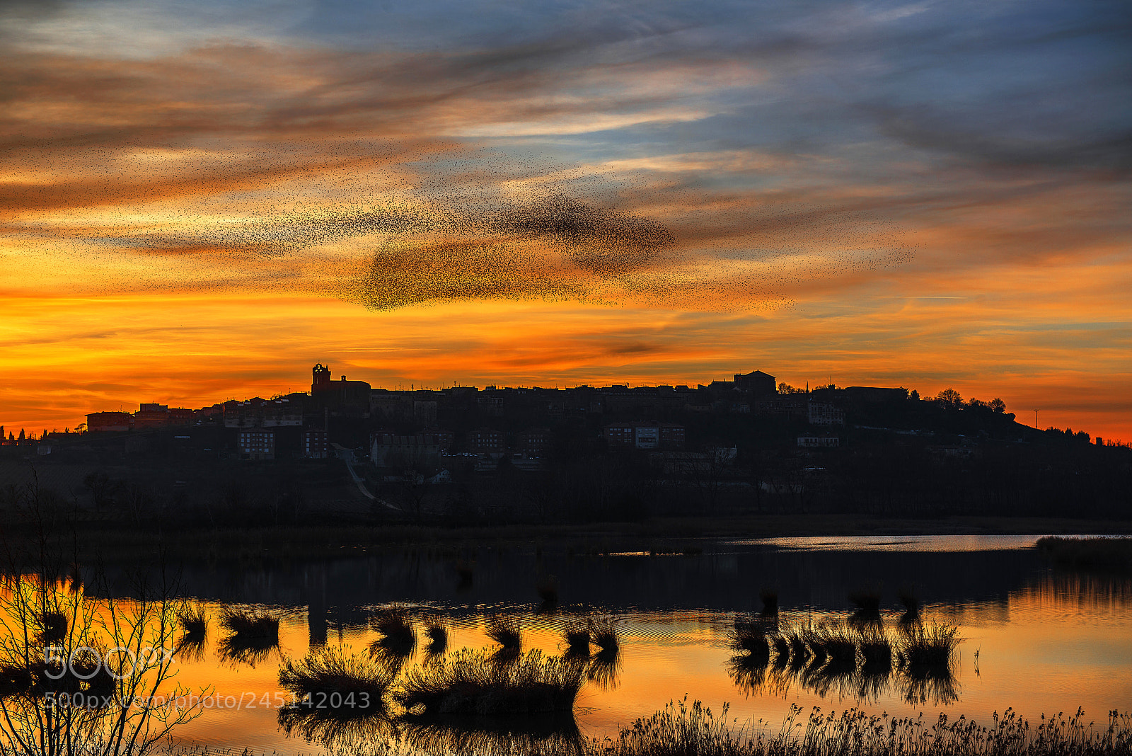 Nikon D800 sample photo. Noviembre photography