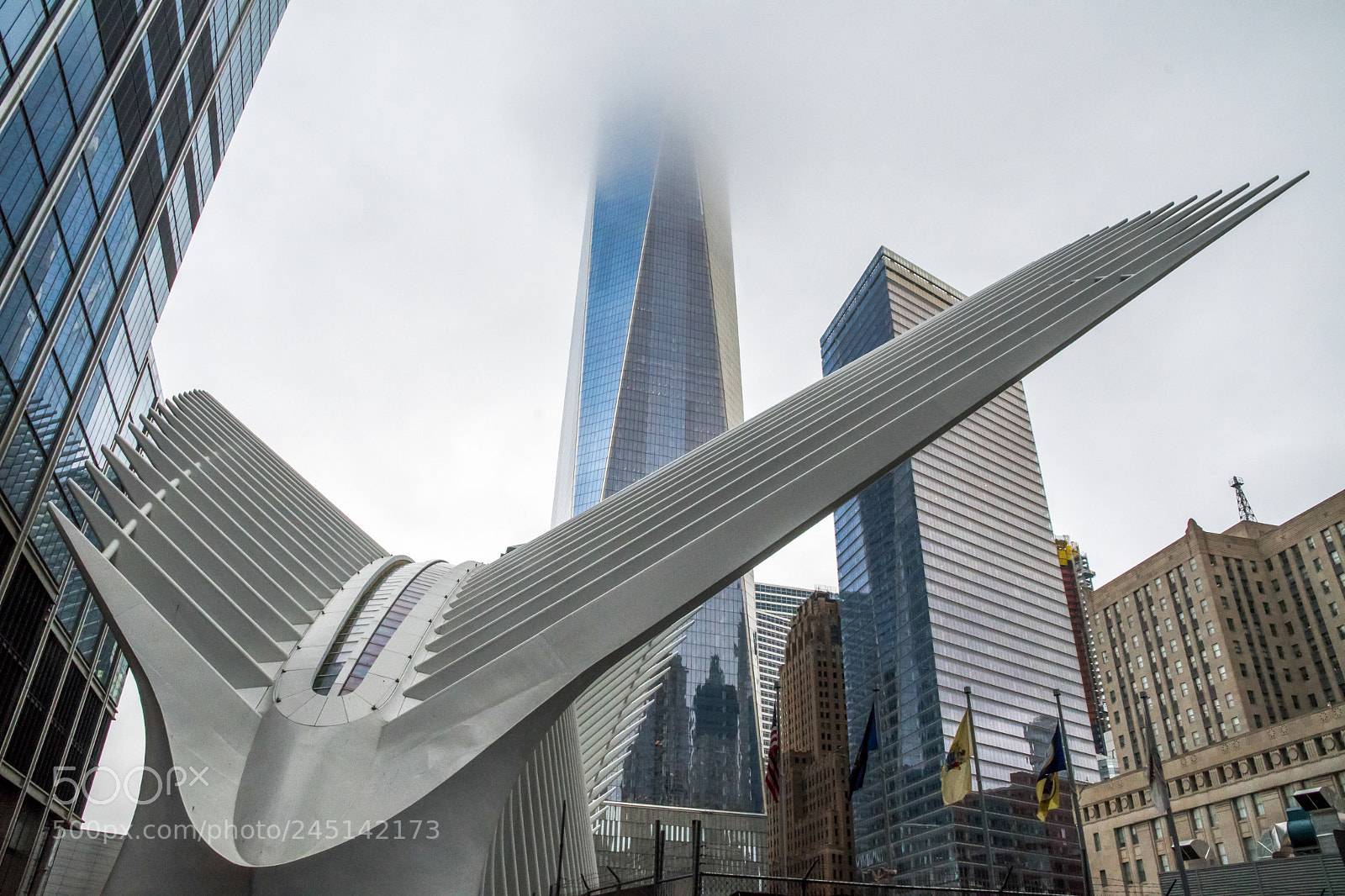 Nikon D500 sample photo. Memorial twin towers photography