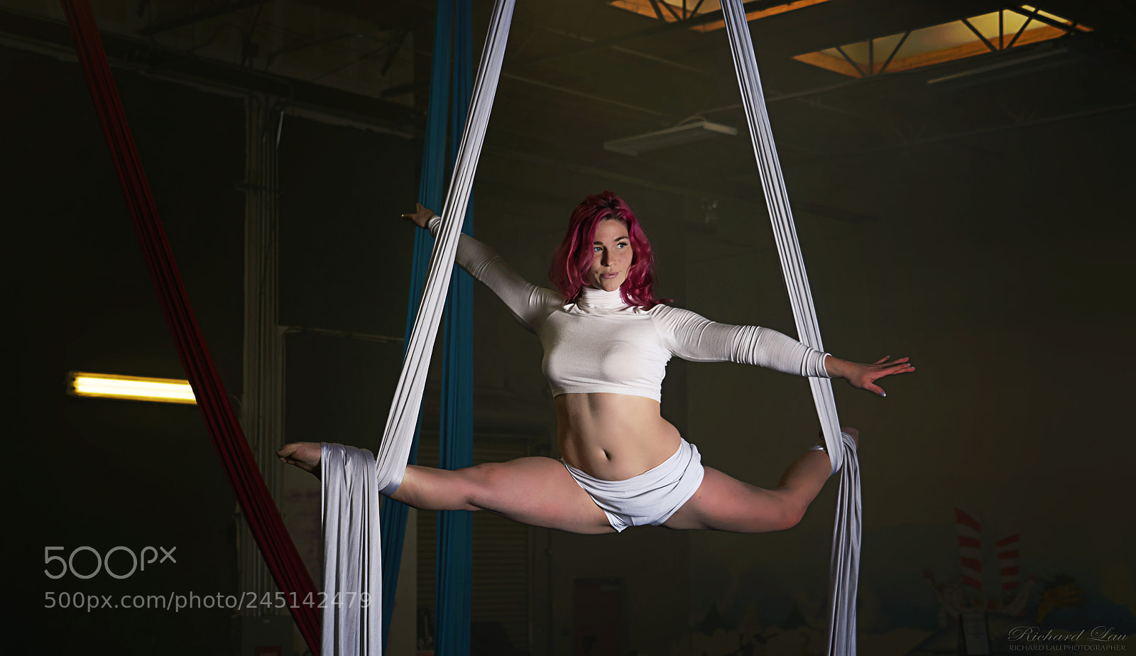 Sony a7 II sample photo. Aerial artist photography