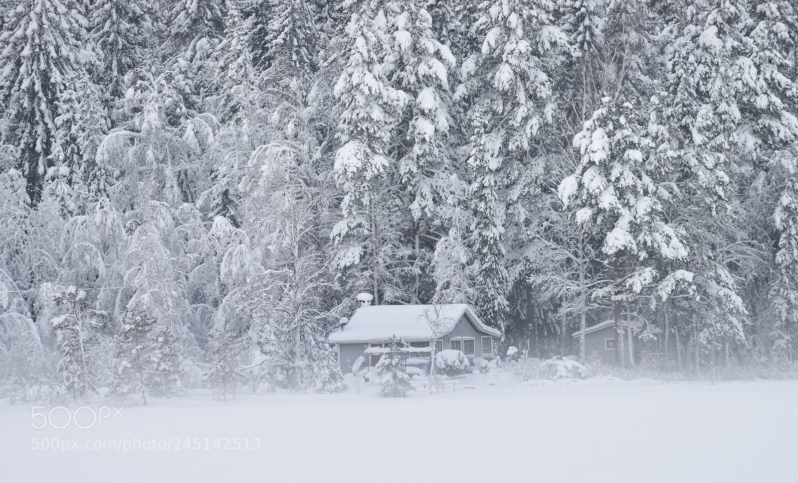 Nikon D810 sample photo. Vinter högbo photography
