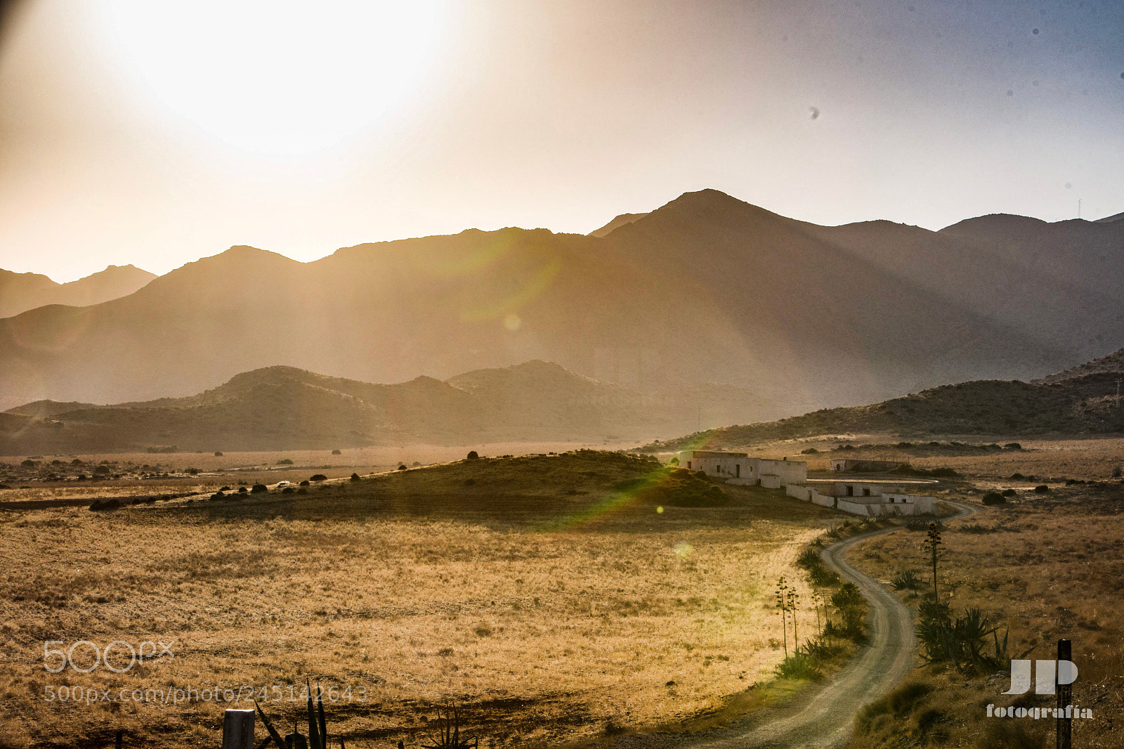 Nikon D500 sample photo. Western photography
