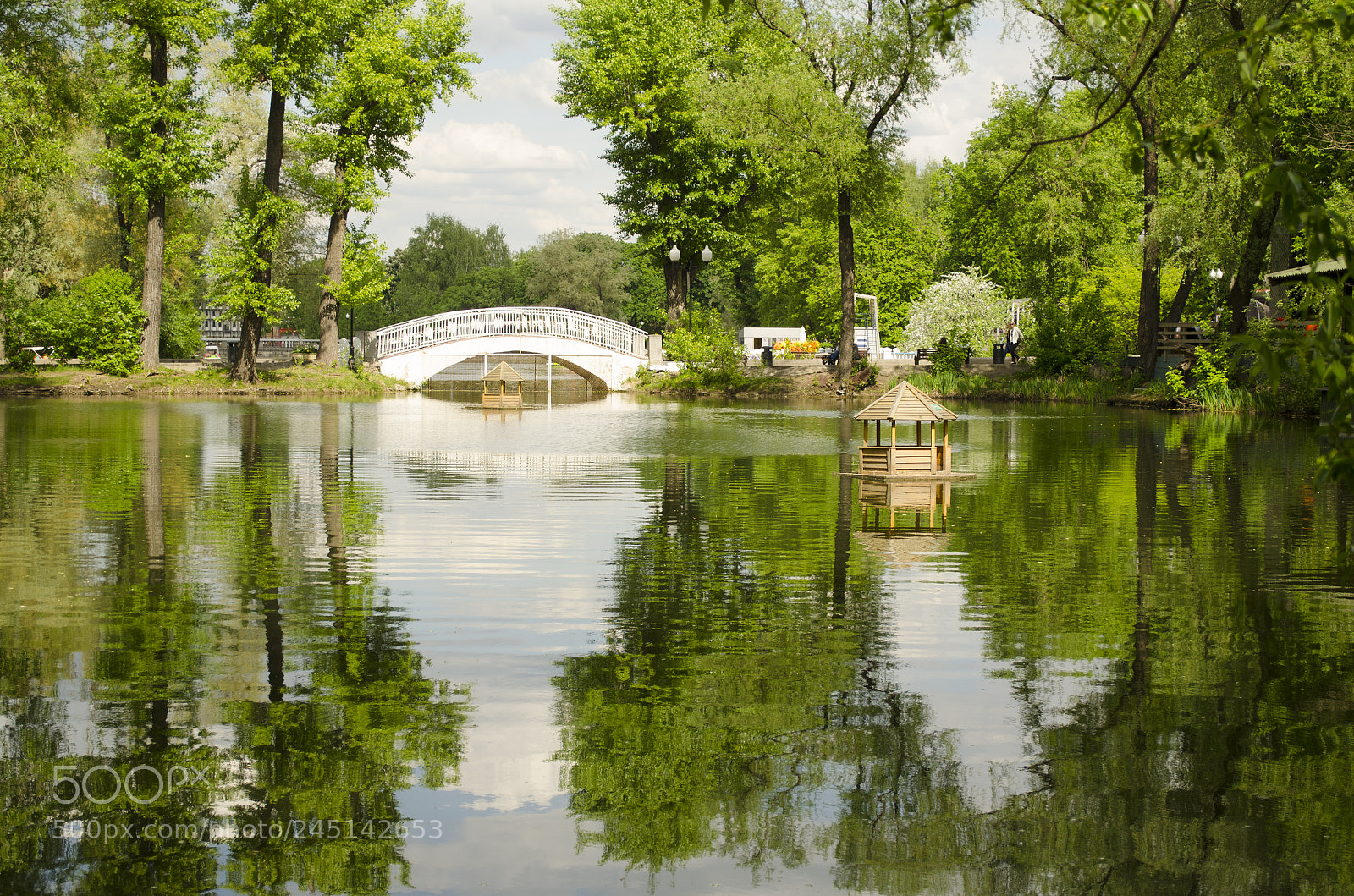 Nikon D5100 sample photo. Park in moscou photography