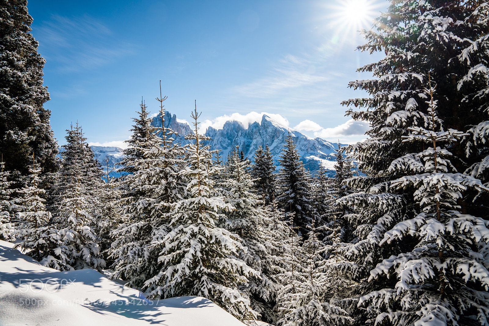 Sony a7R II sample photo. Winter sun photography