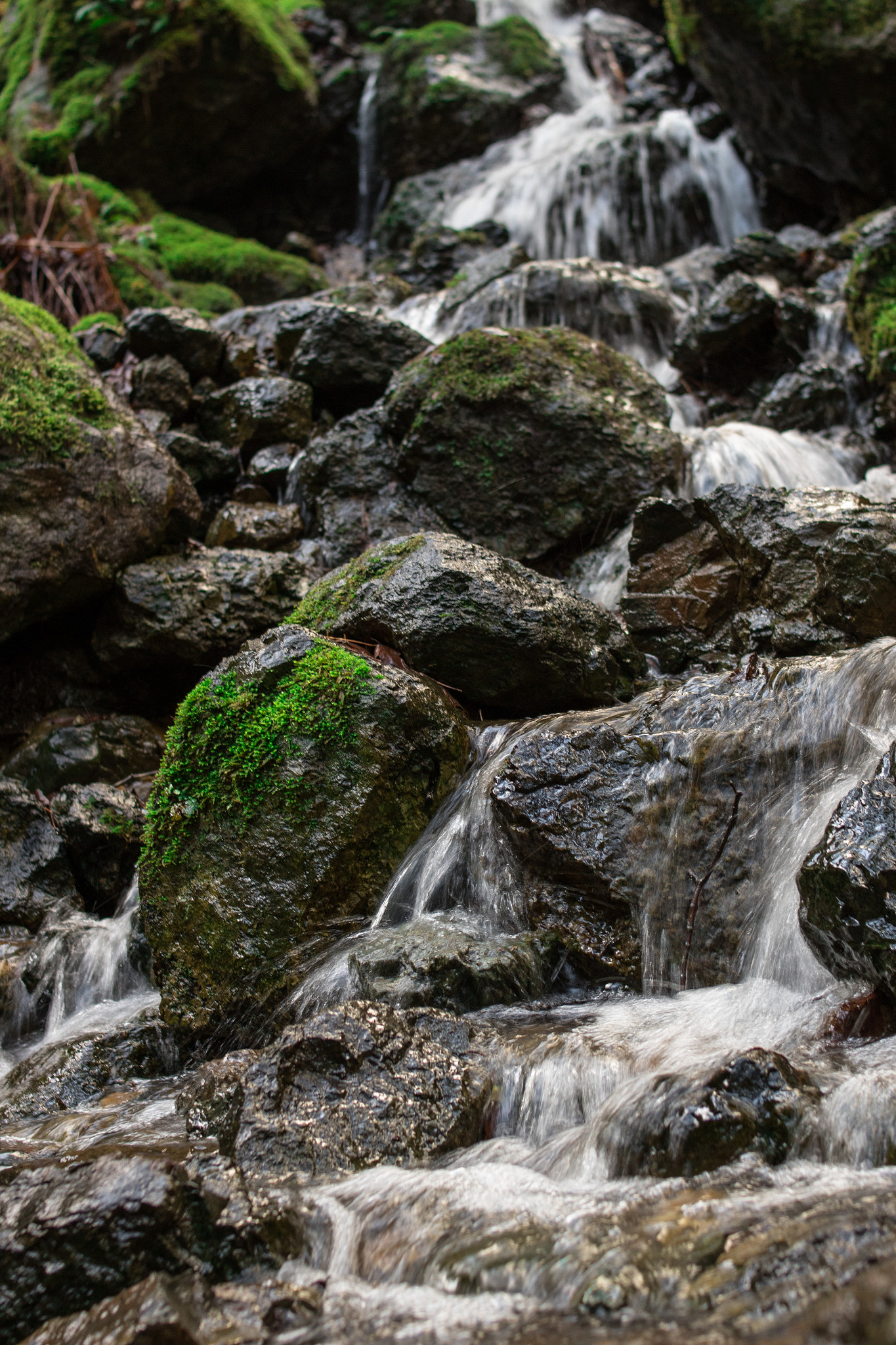 Canon EOS M2 sample photo. Water photography