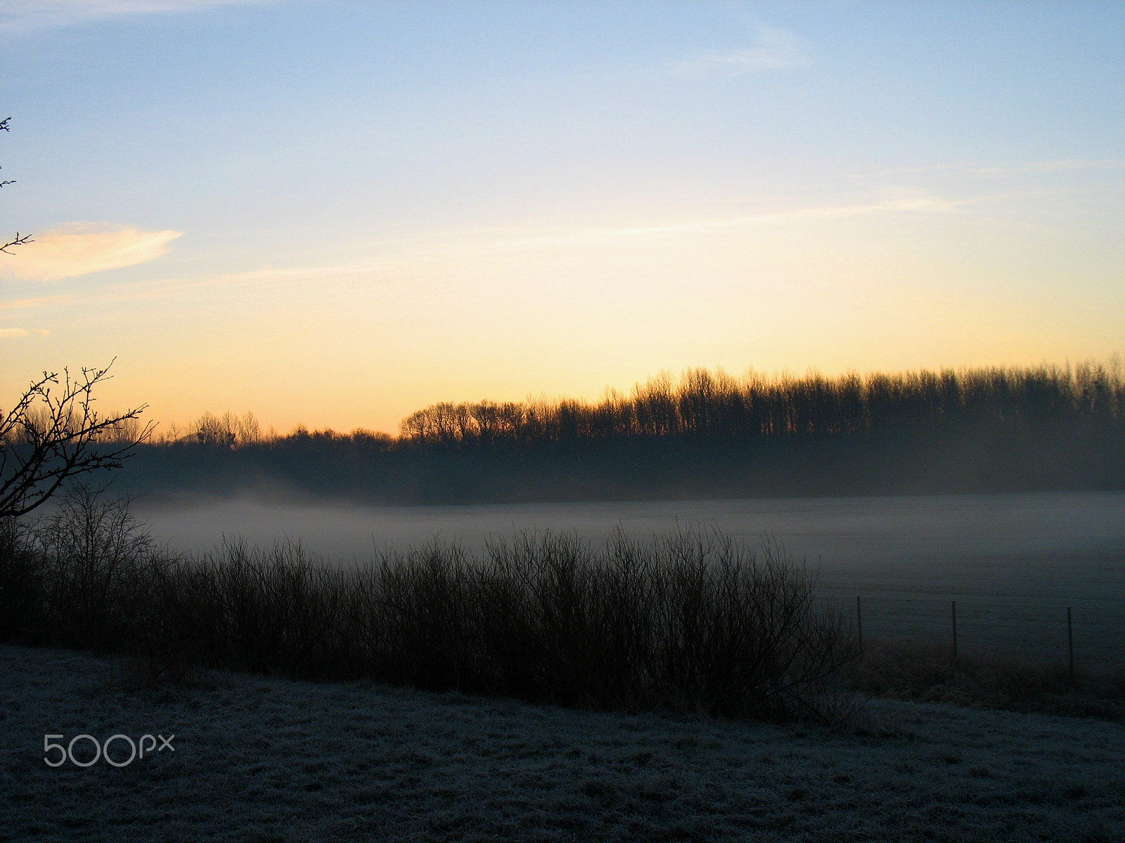 Canon POWERSHOT A610 sample photo. Misty morning photography