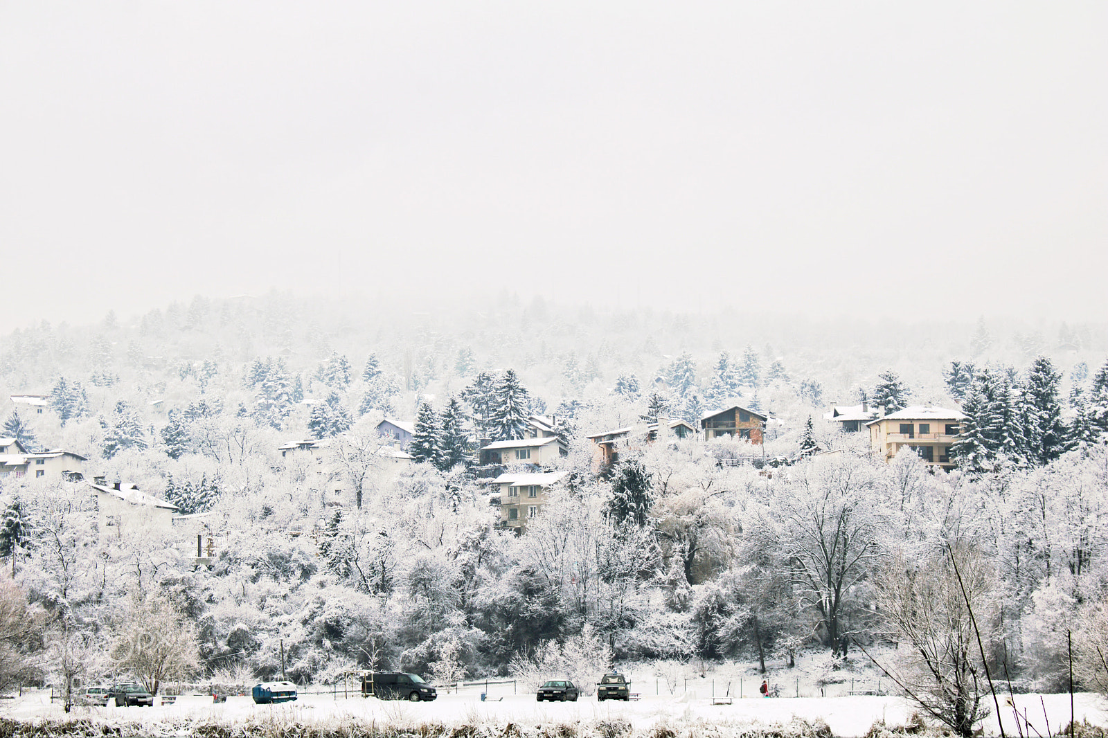 Canon EOS 750D (EOS Rebel T6i / EOS Kiss X8i) sample photo. Pancharevo lake in the photography