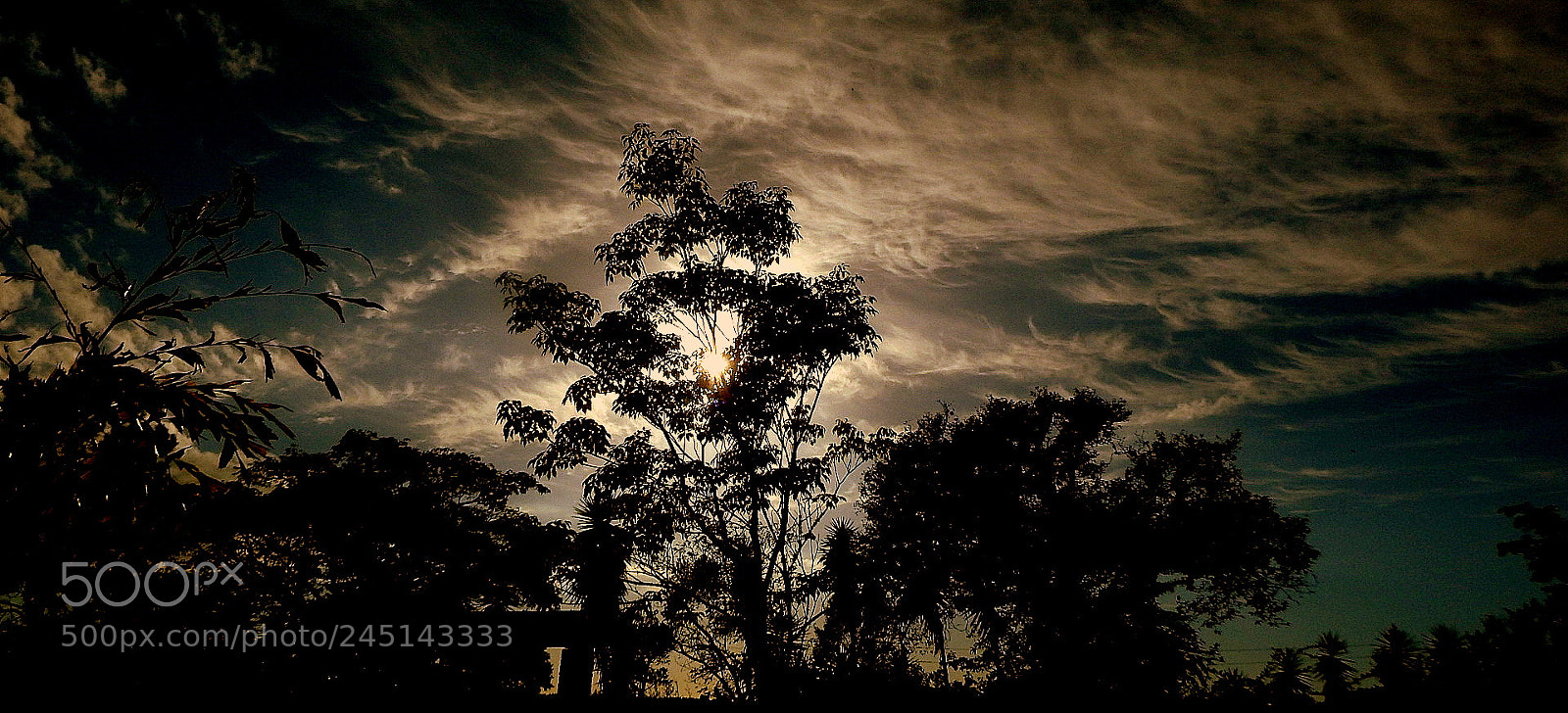 Fujifilm FinePix SL1000 sample photo. In the morning ... photography