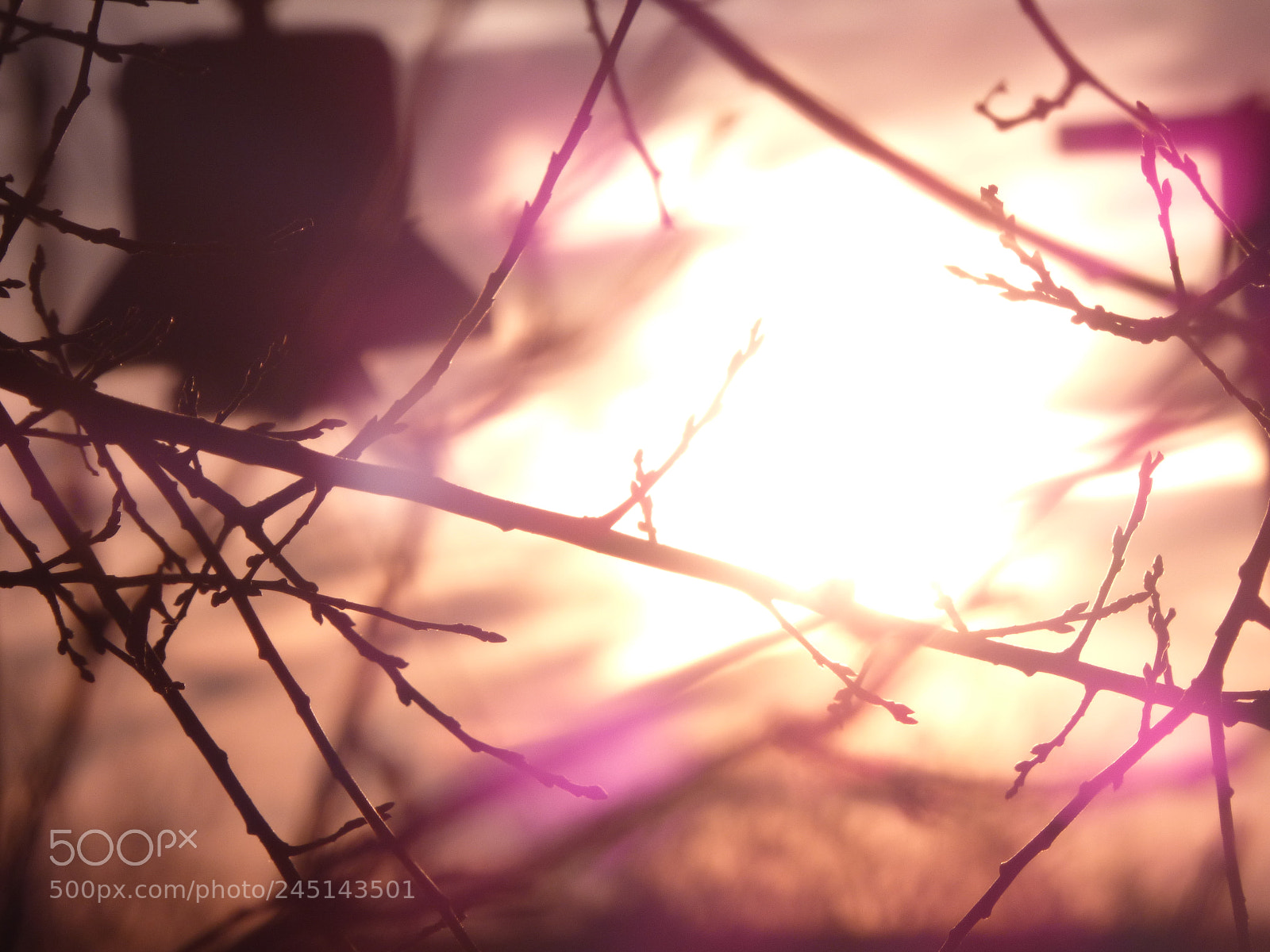 Panasonic DMC-FZ72 sample photo. Natur und  tier photography