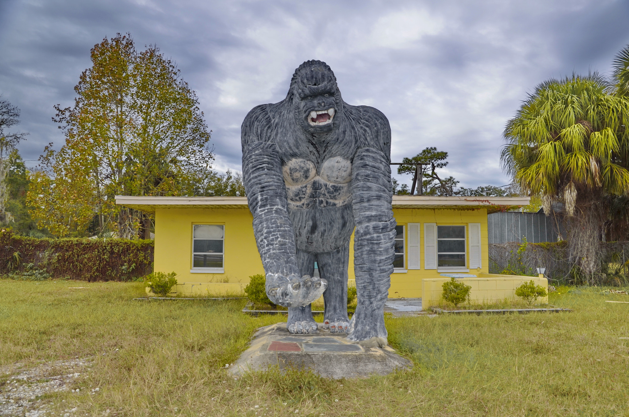 Nikon D5100 sample photo. Roadside photography