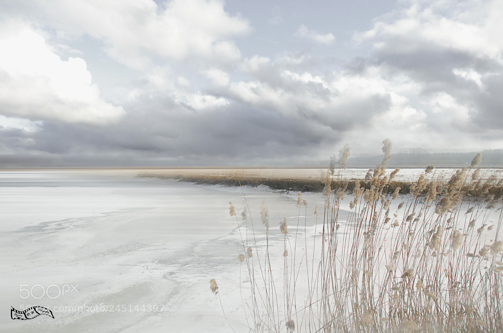 Pentax K-5 sample photo. Cold winter photography