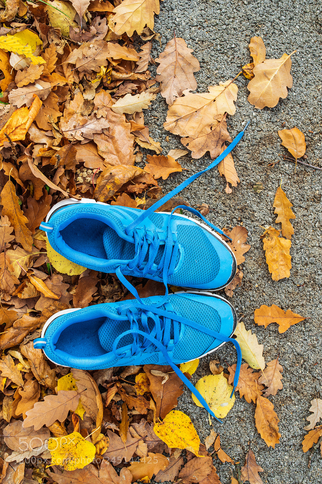 Nikon D4S sample photo. Blue trainers on colorful photography