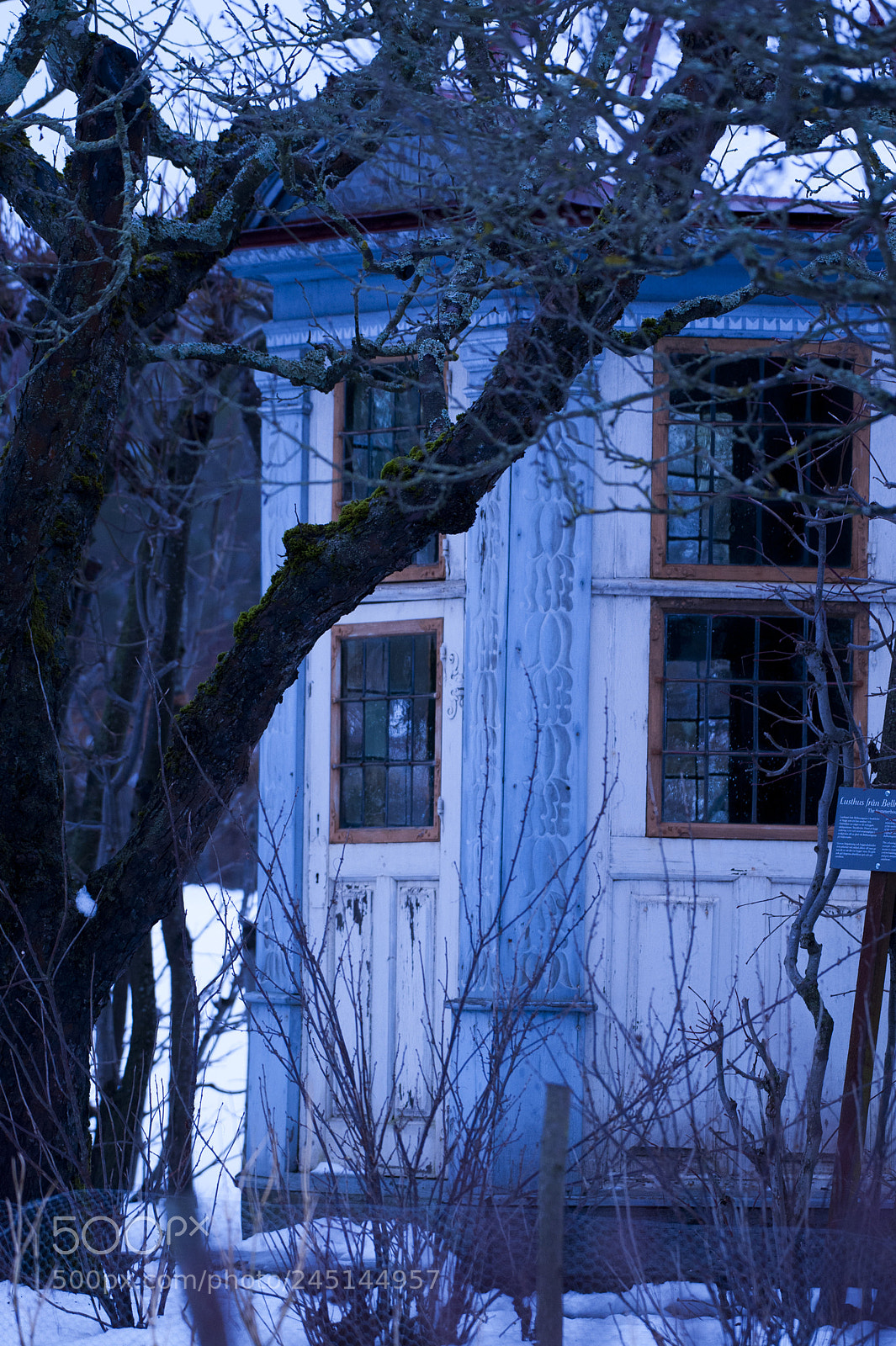 Nikon D700 sample photo. The cold is killing photography
