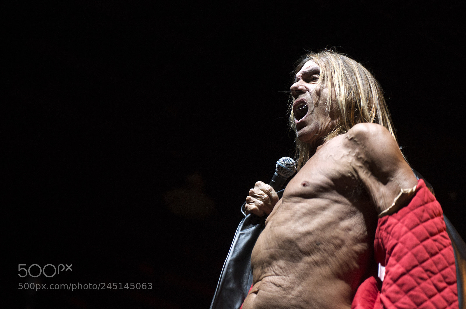 Nikon D4 sample photo. Iggy pop photography