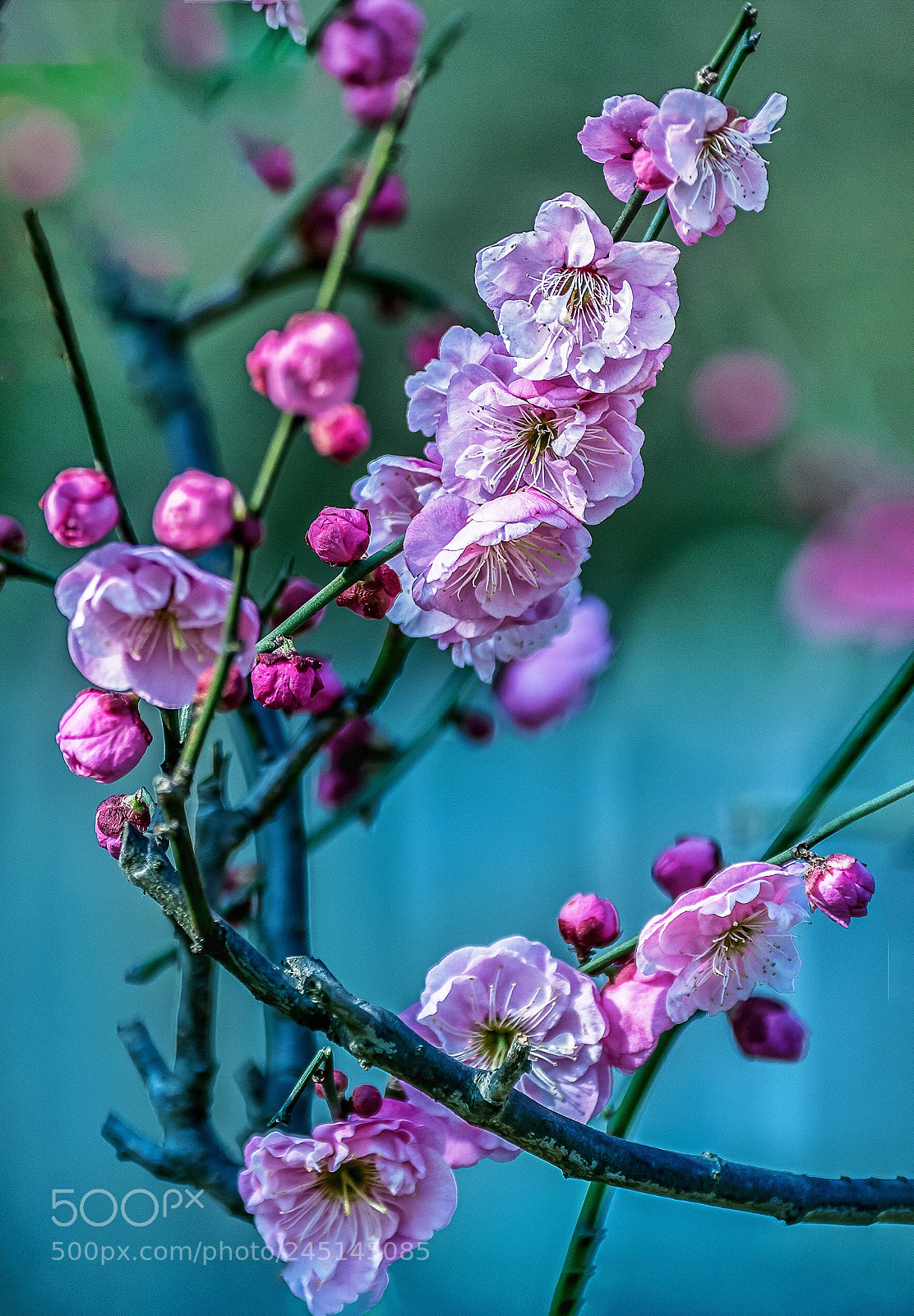 Nikon D810 sample photo. Untitled photography