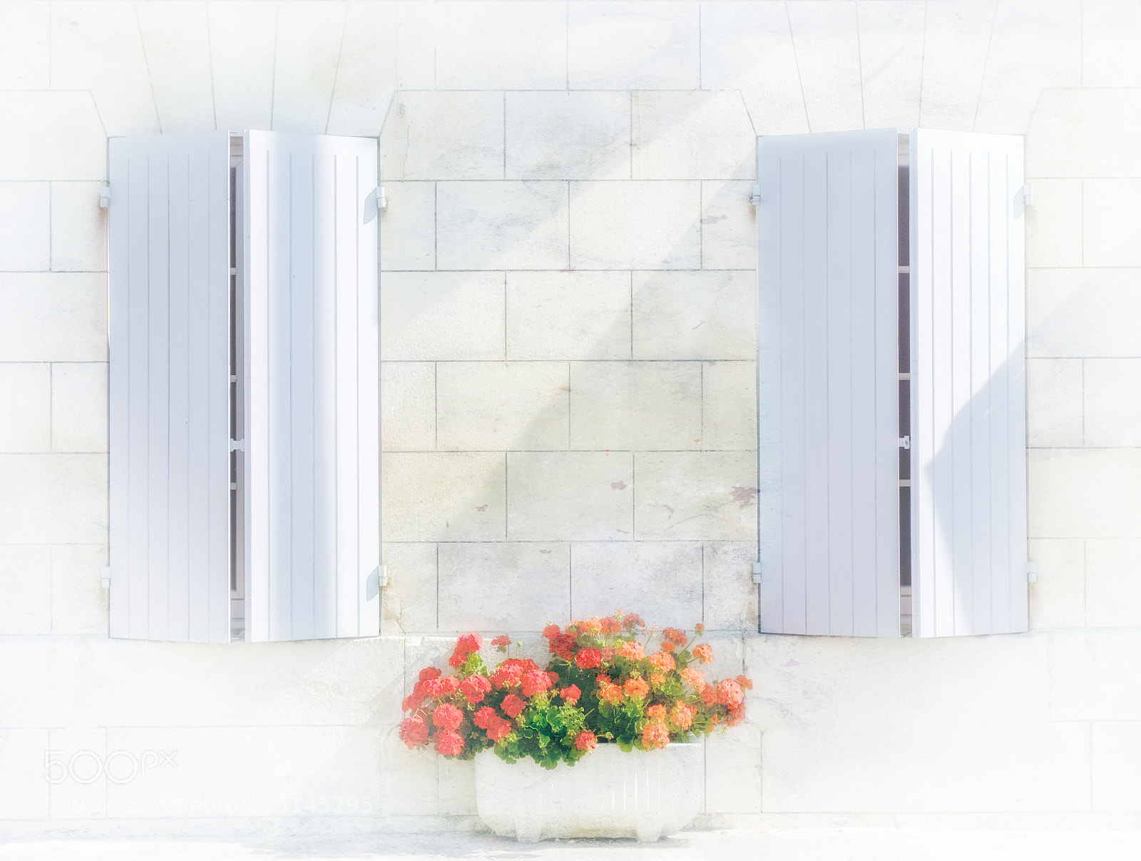 Fujifilm X-T1 sample photo. French windows photography