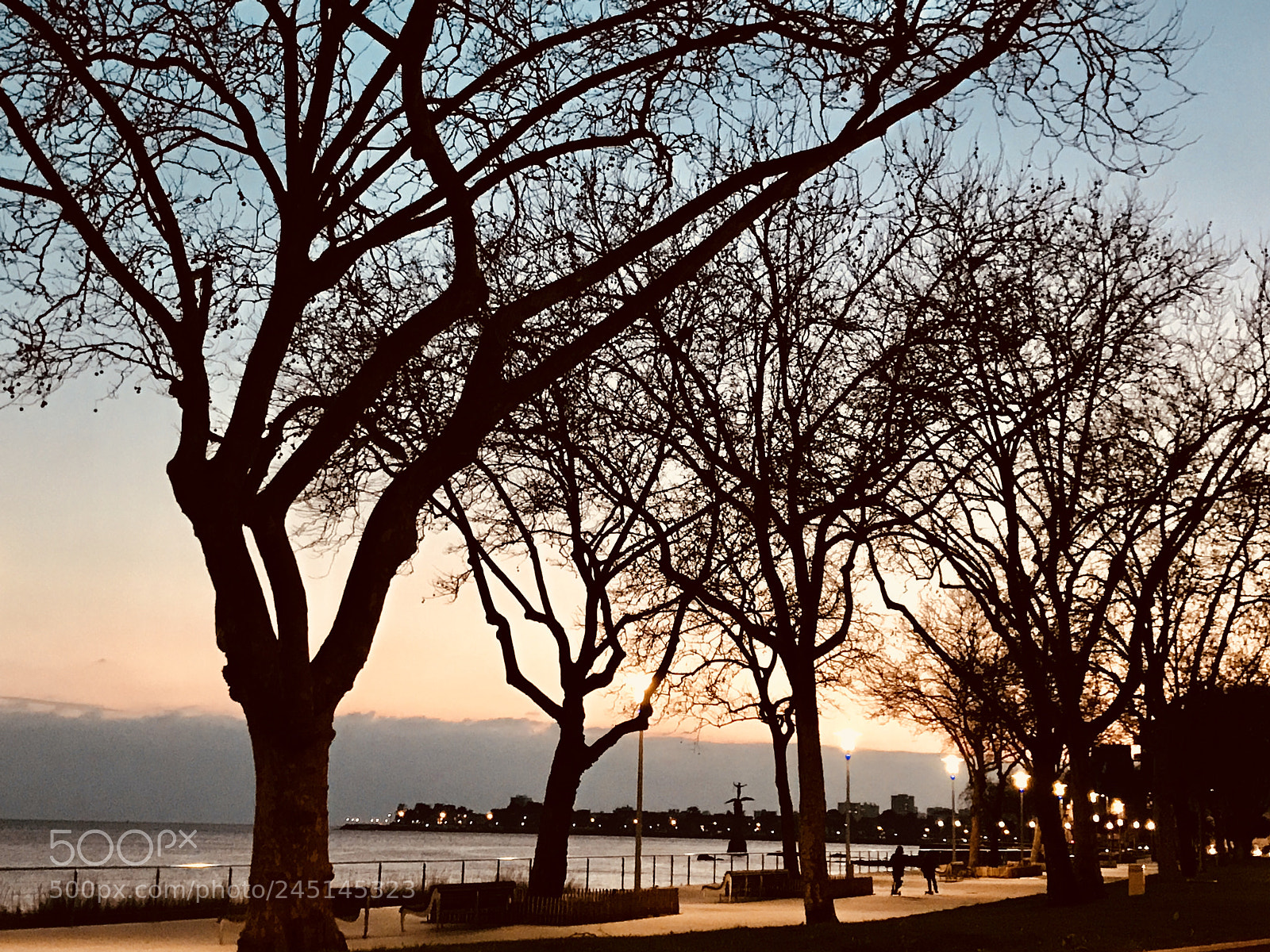 Apple iPhone 7 Plus sample photo. Untitled photography