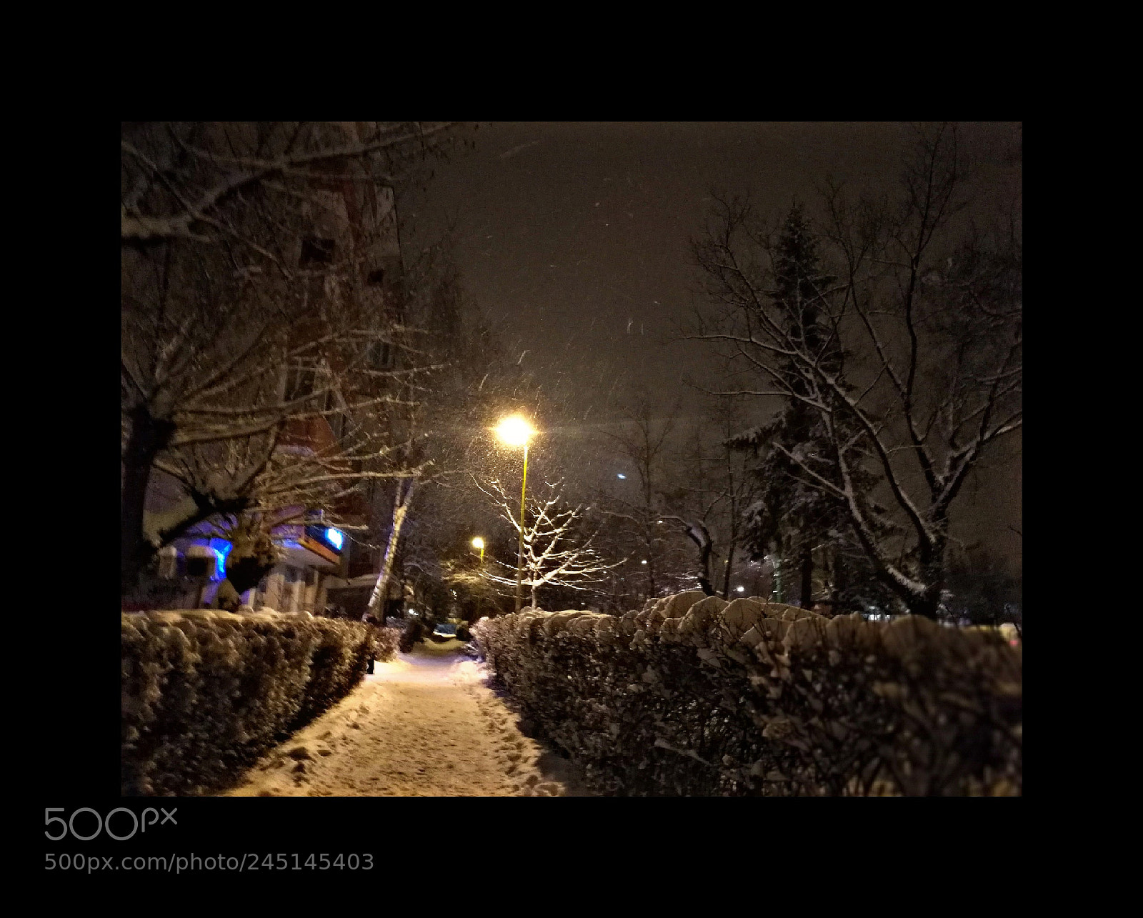 HUAWEI P9 sample photo. Untitled photography
