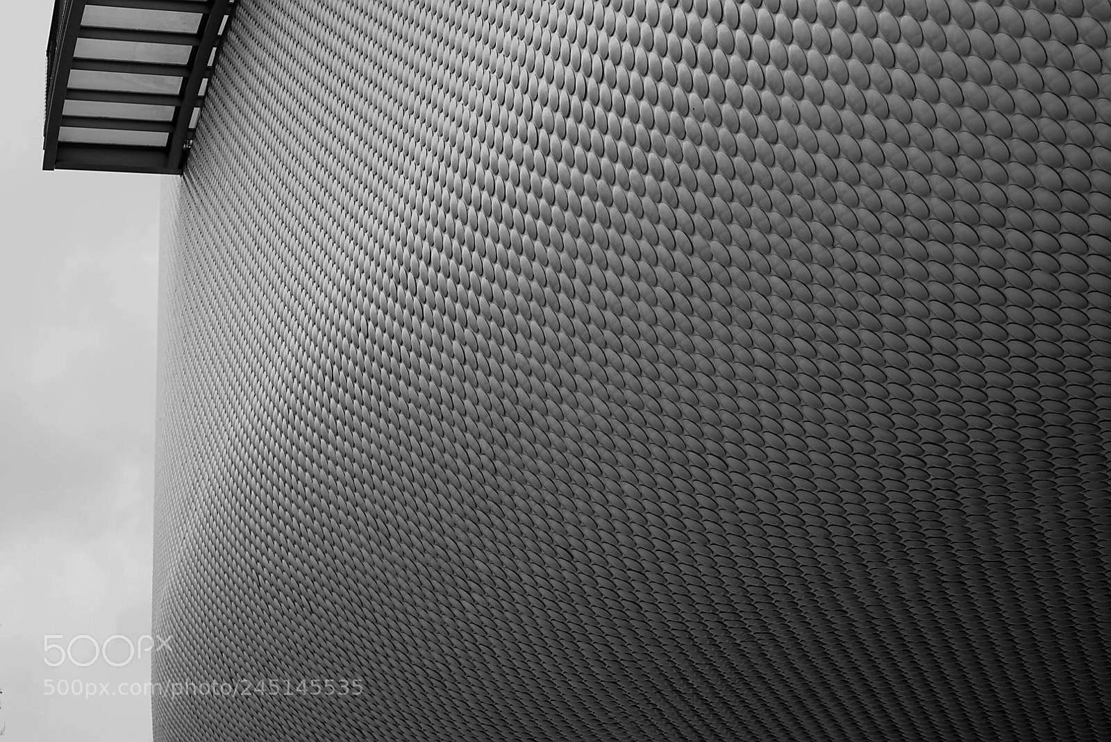 Sony a7 sample photo. Piel de serpiente. centro photography