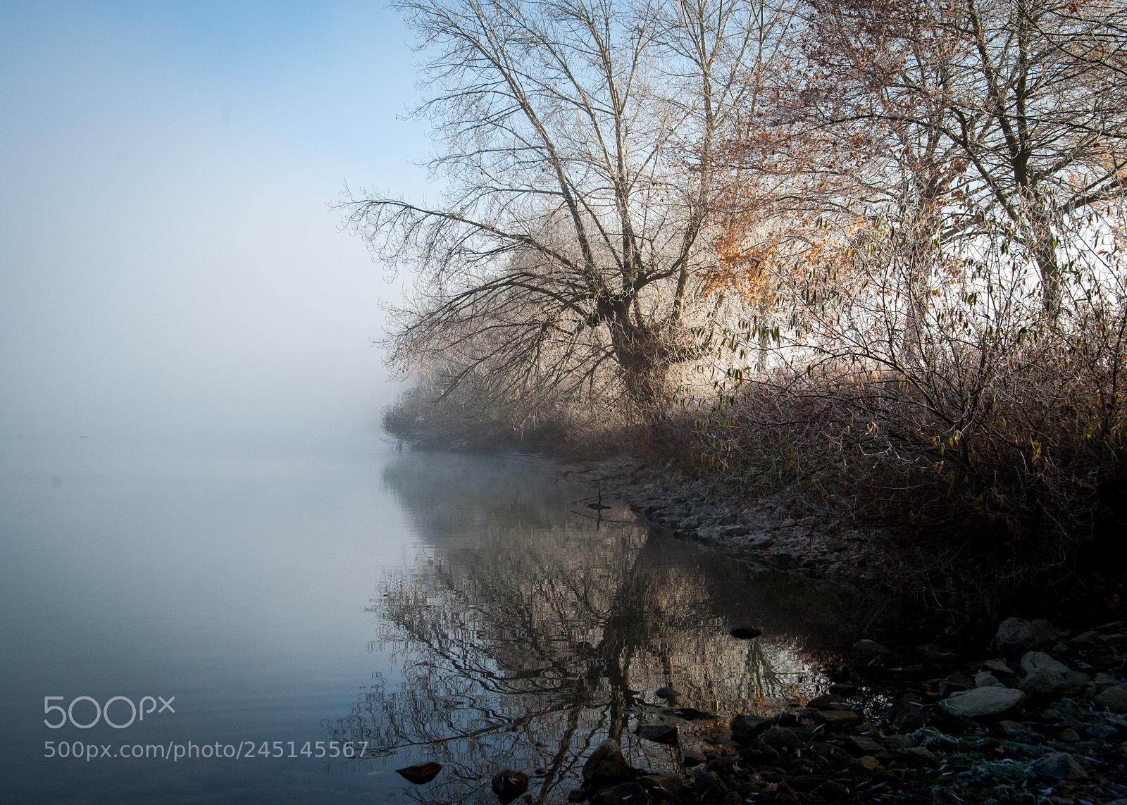 Nikon D700 sample photo. Morning mist photography