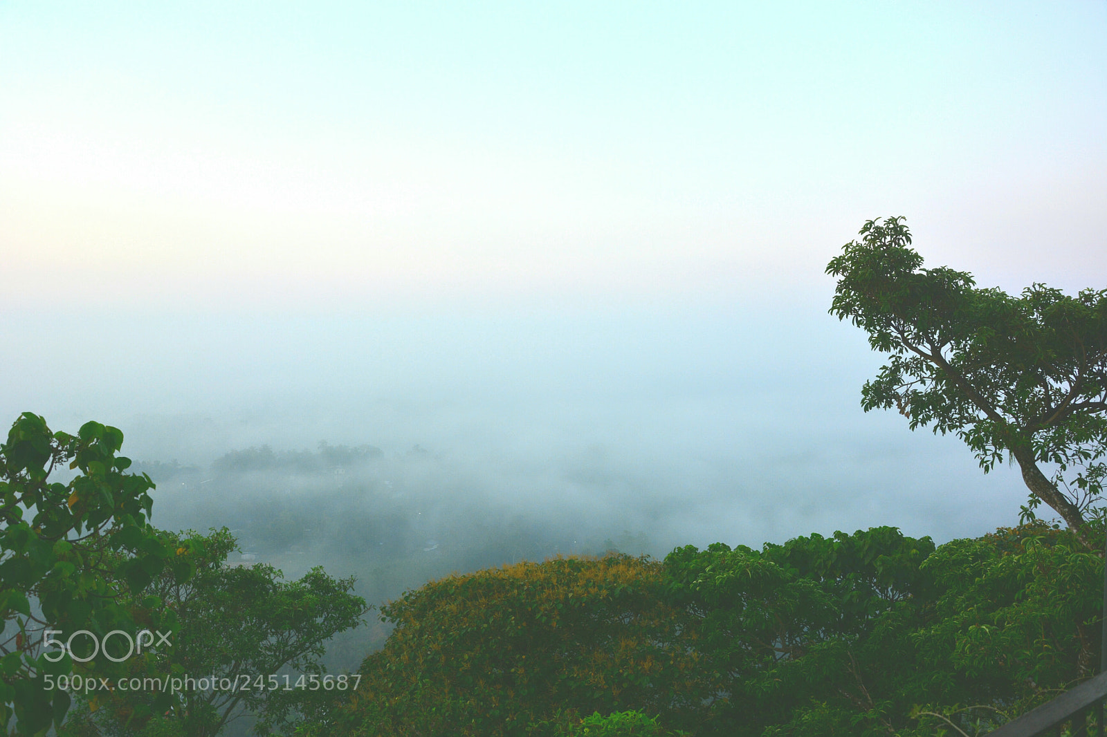 Nikon D7100 sample photo. Ground from high photography