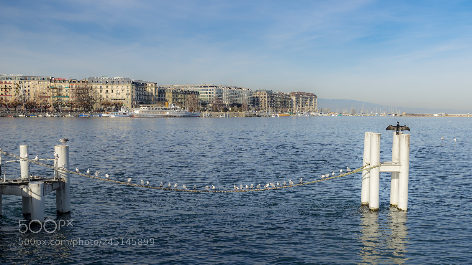 Nikon D610 sample photo. Panoramic view of the photography