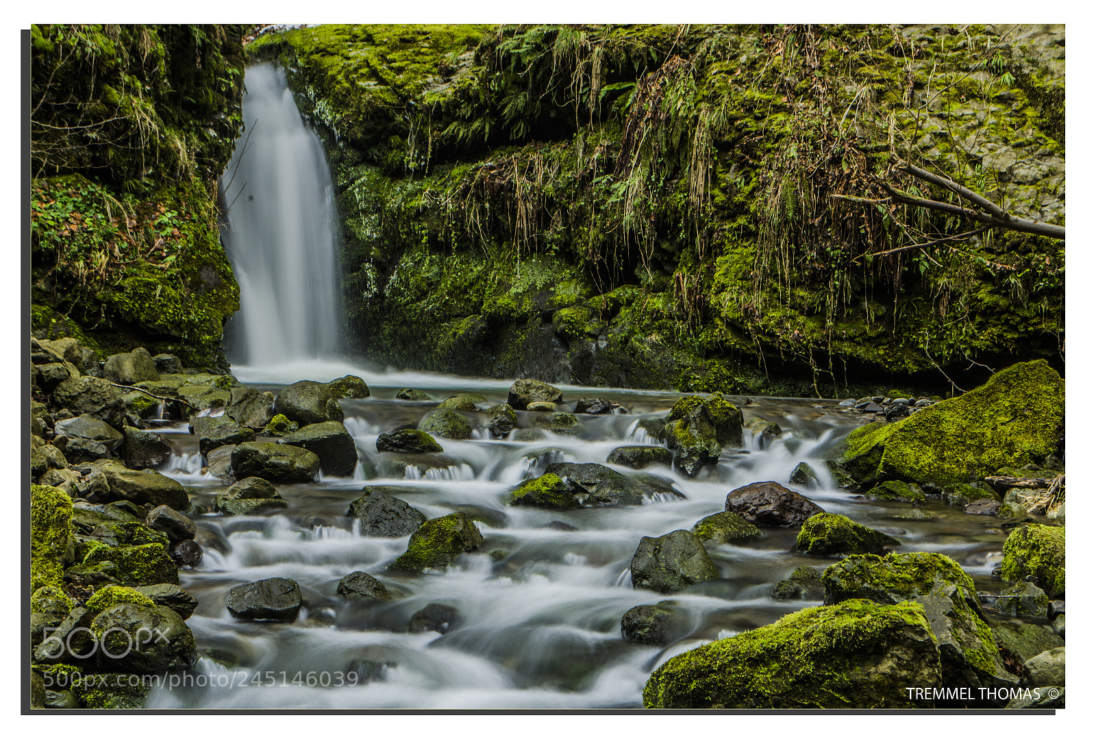 Nikon D5100 sample photo. Waterfall in the middle photography