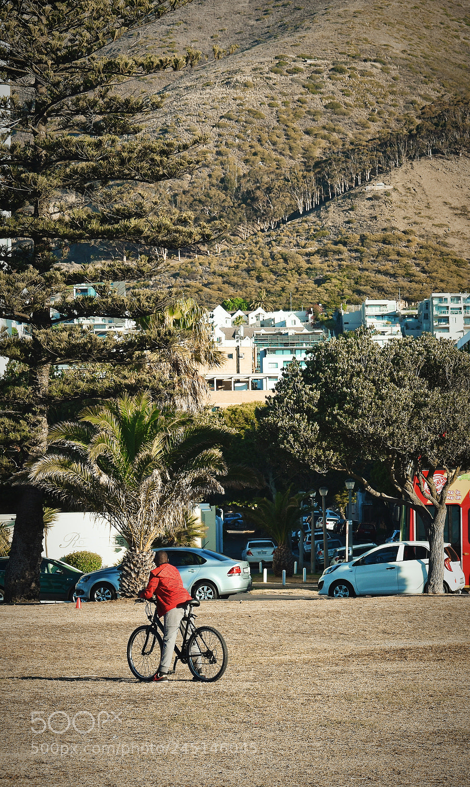 Nikon D3400 sample photo. Boy on bike photography